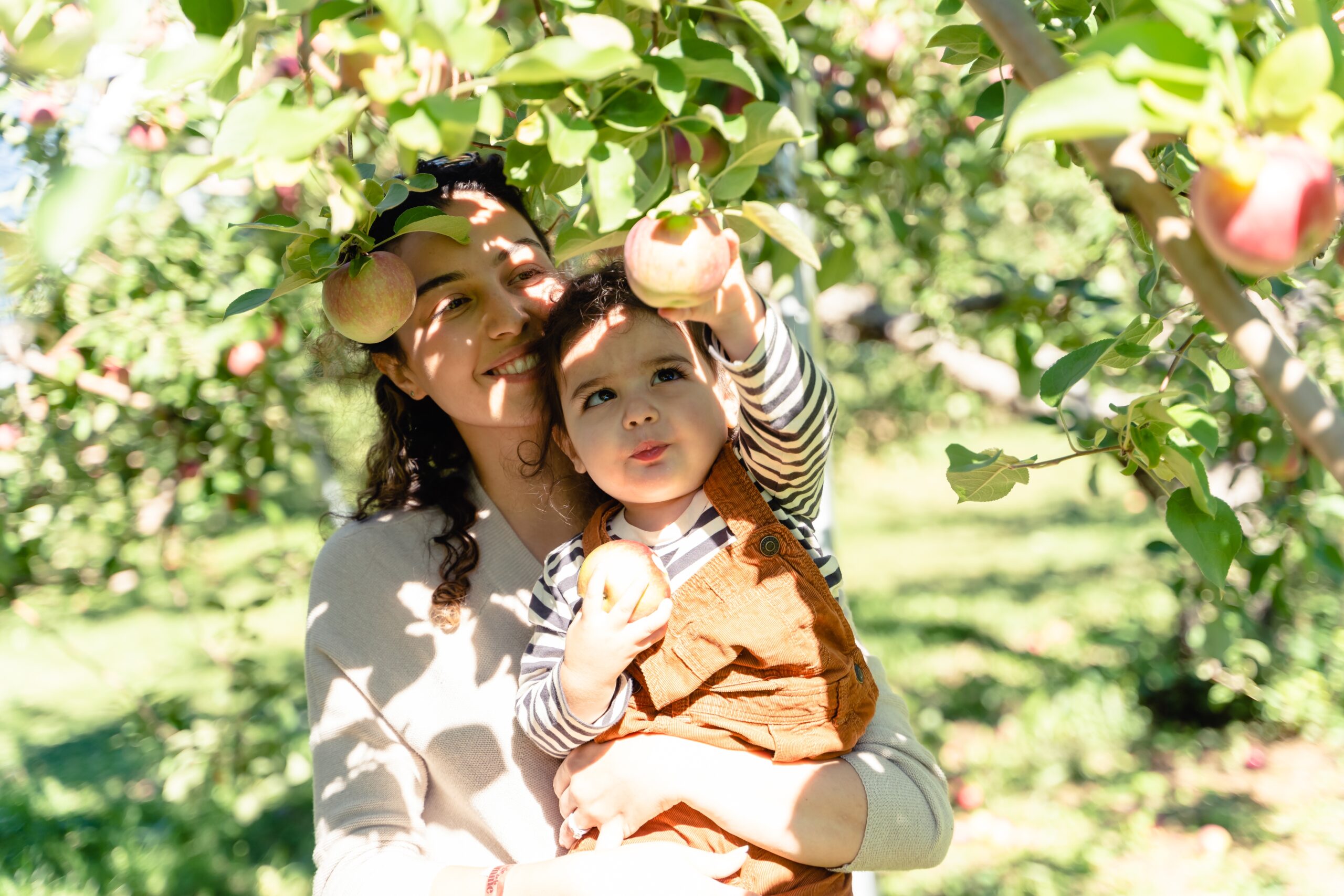 mom-and-child-having-fun-while-picking-apples-2022-03-05-10-17-38-utc