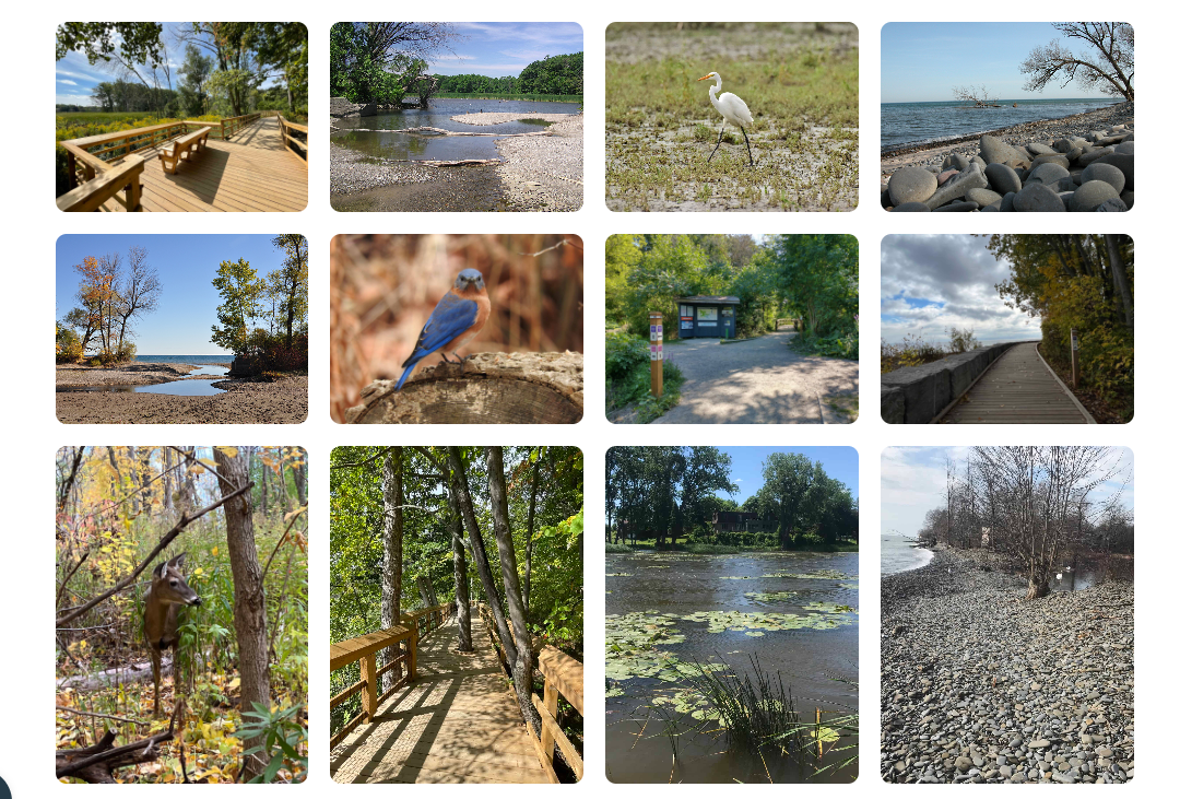 Rattray Marsh Conservation Area