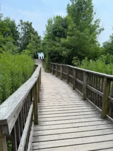 Rattray Marsh Conservation Area - Fall Activities for Kids in Mississauga